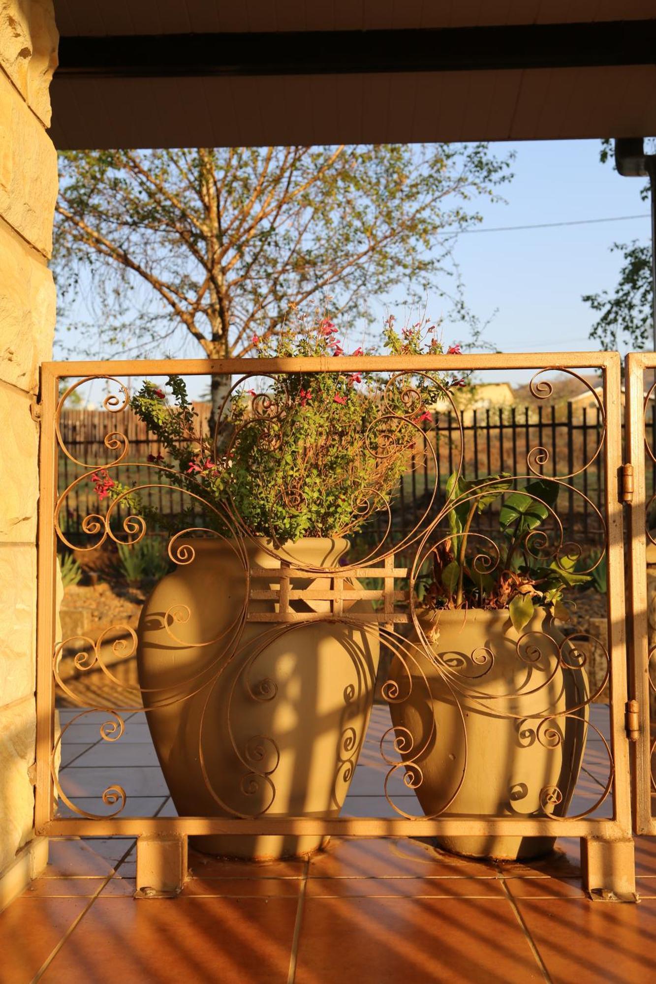 Mt Horeb Manor كلارينس المظهر الخارجي الصورة